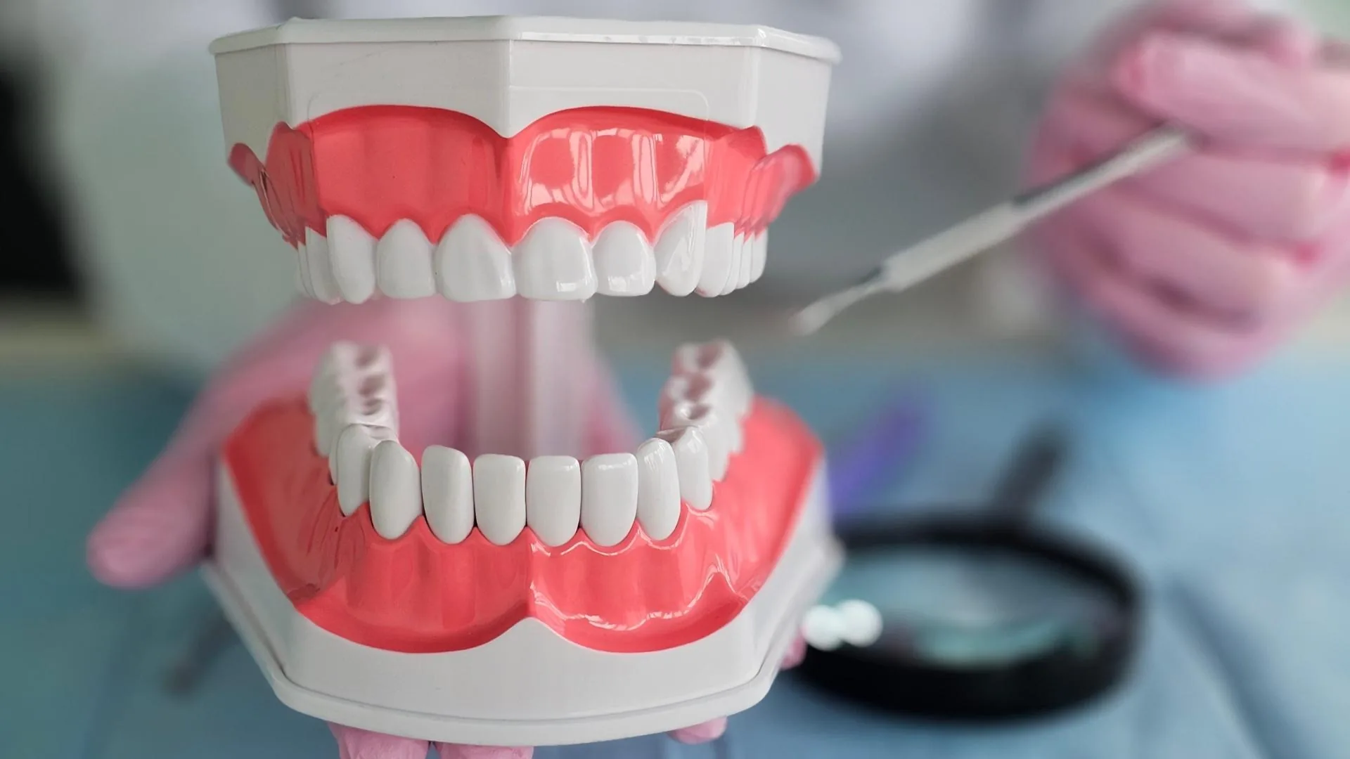 Revisión de encías y prótesis dental en modelo clínico